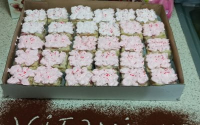 Овошни коцки